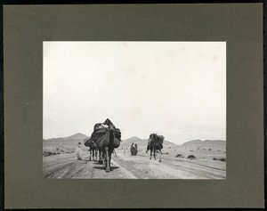 North Africa, Dancing Girls and Musician